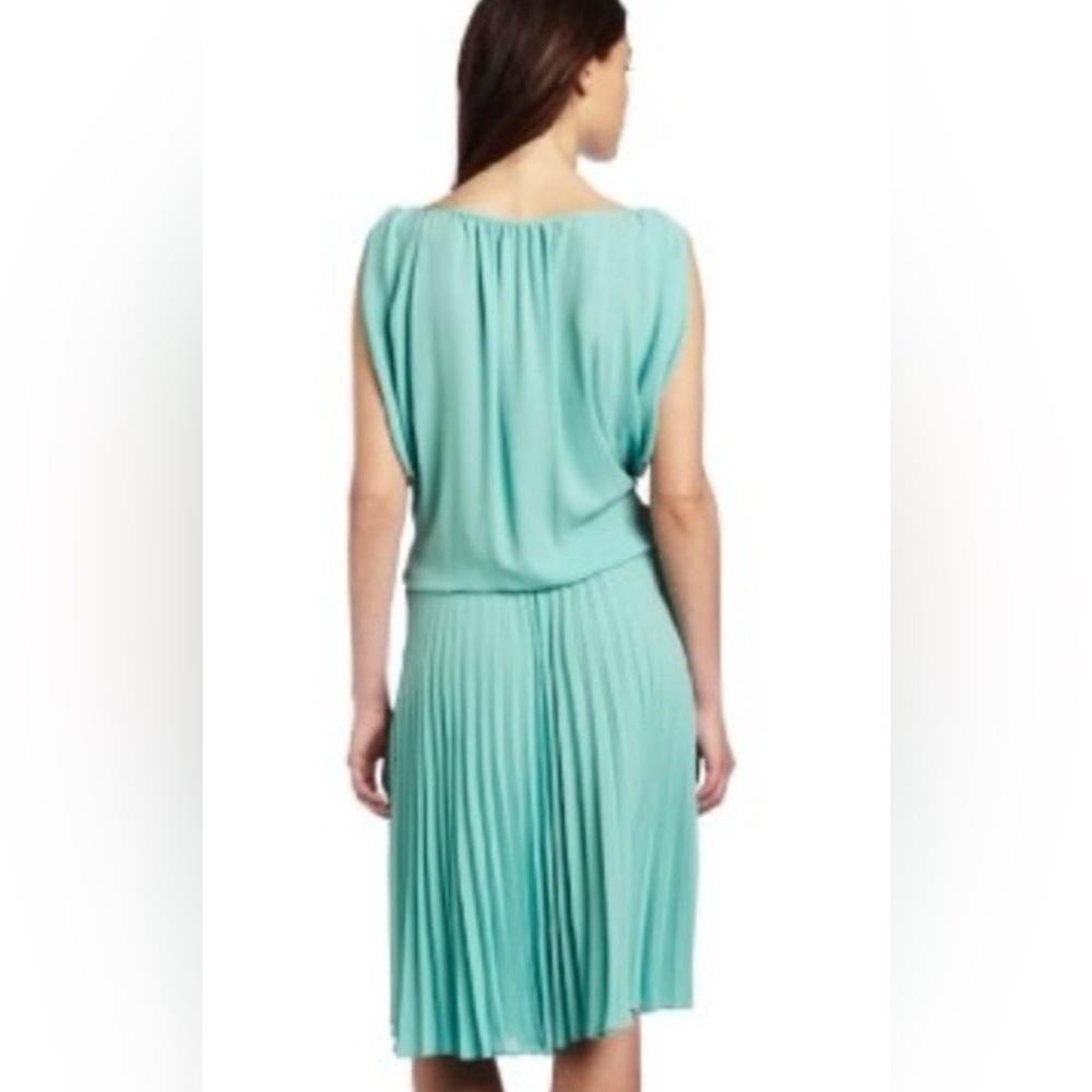 BCBG Seafoam Midi Dress